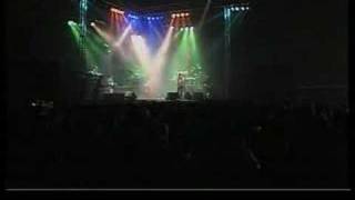 Litfiba - Cane [Live]