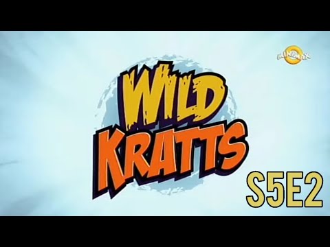 Pustolovine sa Braćom Kret Hram Tigrova