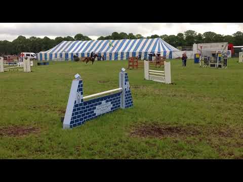 Origi van de Maltahoeve 280419(1)