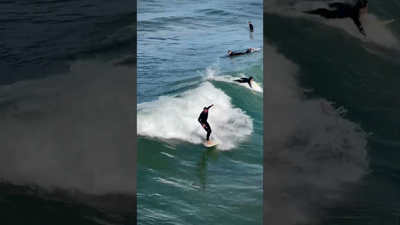 🎶”Swimming with sharks”! 🎧 #youtubeshorts #youtubeshort #shortvideo #shortsfeed #shortsyoutube