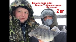 Ссылка