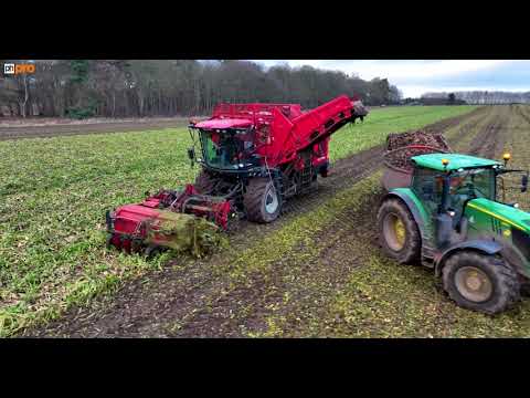 Agrifac Light Traxx Lifting Sugar Beet At Thoresby Farm #farmingvideo