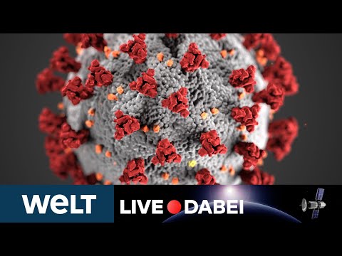 CORONAVIRUS IN DEUTSCHLAND: Pressekonferenz - Sicherheitsreport 2020 Spezial Corona