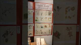 文学と医学を極めた天才「木下杢太郎」が凄すぎる…! #shorts #静岡県伊東市 #杢太郎記念館 #伊東市観光
