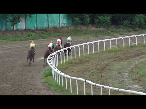 21.8.2022 - Trka V - PEHAR PREDSEDNIKA REPUBLIKE - Hipodrom Beograd