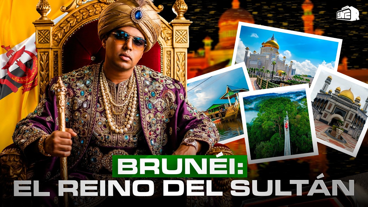 THERIANS DE VERDAD SE QUILLAN CON DOMINICANOS POR FINGIDORES Y SONIDISTAS