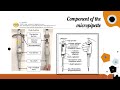 SUGANTHI MICROPIPETTE