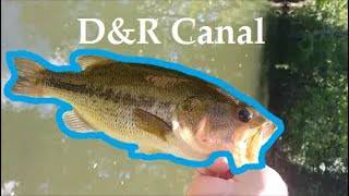 Fishing the D and R Canal - Multispecies