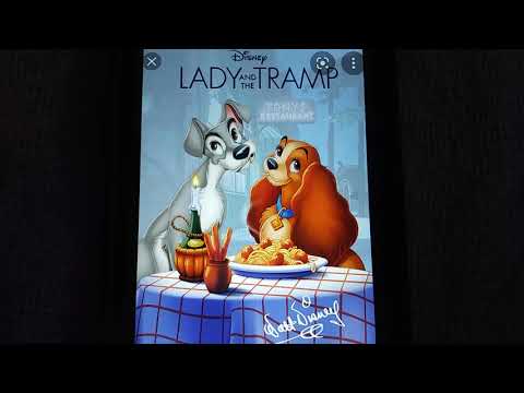 Happy 66th, 44th, 9th, and 33rd anniversary to the Following