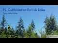 Video Thumbnail for PB Cutthroat at Errock Lake