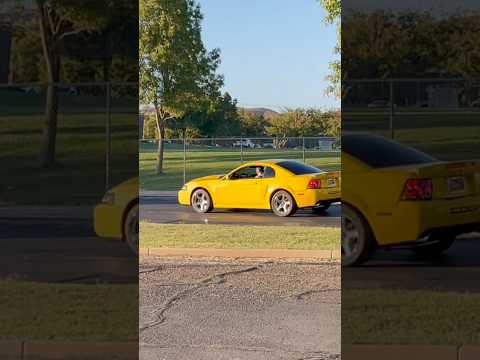 Rolling into the high school 20 year reunion in a 2004 SVT cobra. The same year car as we graduated