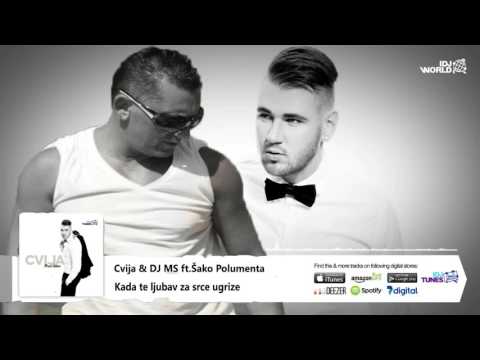 Cvija & DJ MS ft.Šako Polumenta - Kada te ljubav za srce ugrize (Audio 2017)
