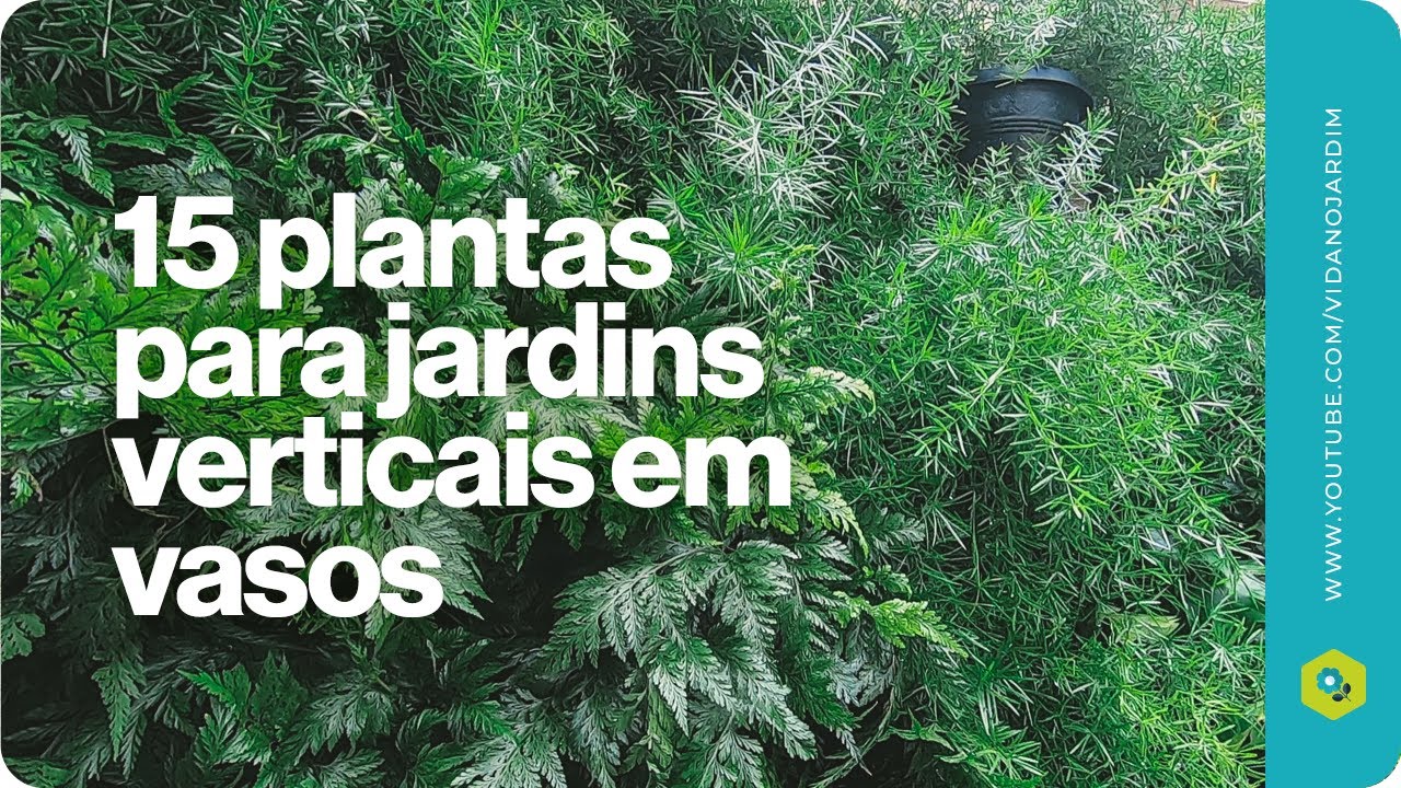 15 plantas para jardins verticais em vasos