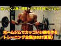 【太い腕を作る!】ホームトレーニングでできる親父的上腕二頭筋トレーニング全集