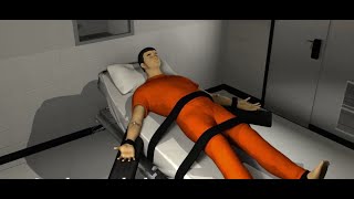 Lethal Injection | How it works