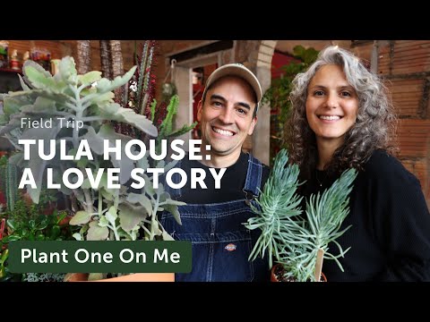 Tula House: A LOVE STORY of Running a PLANT Shop — Ep. 361