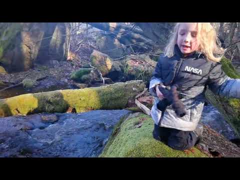 TOR H @ Sörbybäcken - söndag 2022-02-27 - RONNEBY