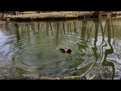 Plivska jezera - Raj za oči, odmor za dušu