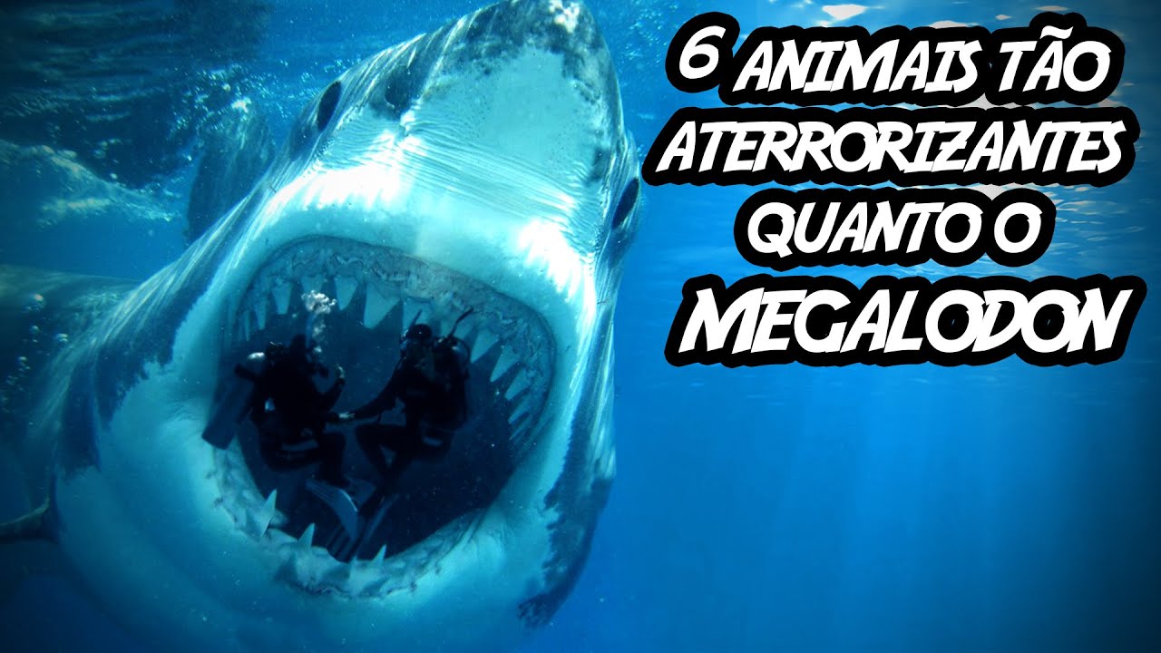 6 animais tão aterrorizantes quanto o Megalodon