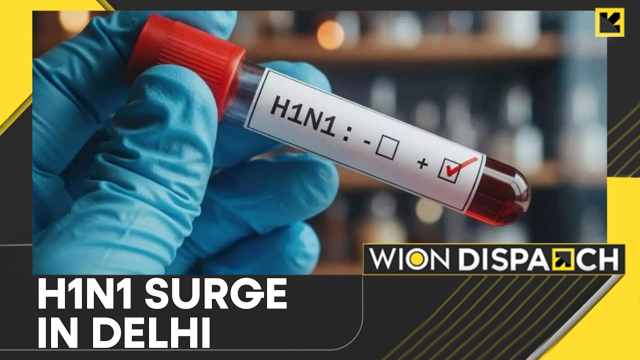Swine Flu: New Delhi Records 138 New H1N1 Cases in 24 Hrs | WION Dispatch