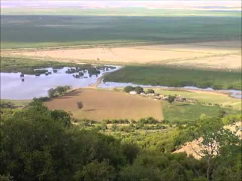 Halil Ökten - Trakya Ağır Roman Gayda (Korg Pa3x Efsane Gayda)