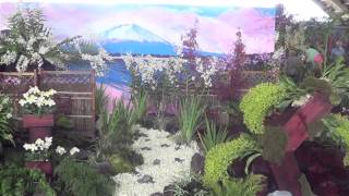 preview picture of video 'Hilo Orchid Show 2013'