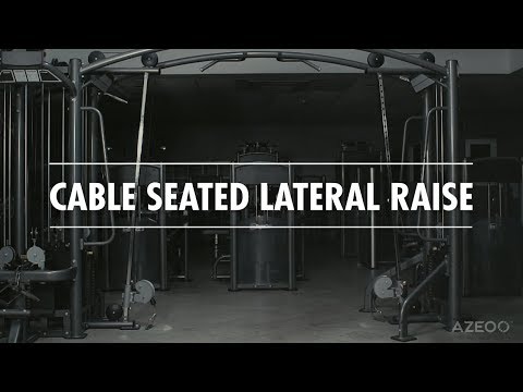 Cable Seated Lateral Raise