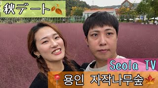 秋デート🍂용인 자작나무숲🍁//#vlog #한일부부 #한일커플 #日韓夫婦 #日韓カップル
