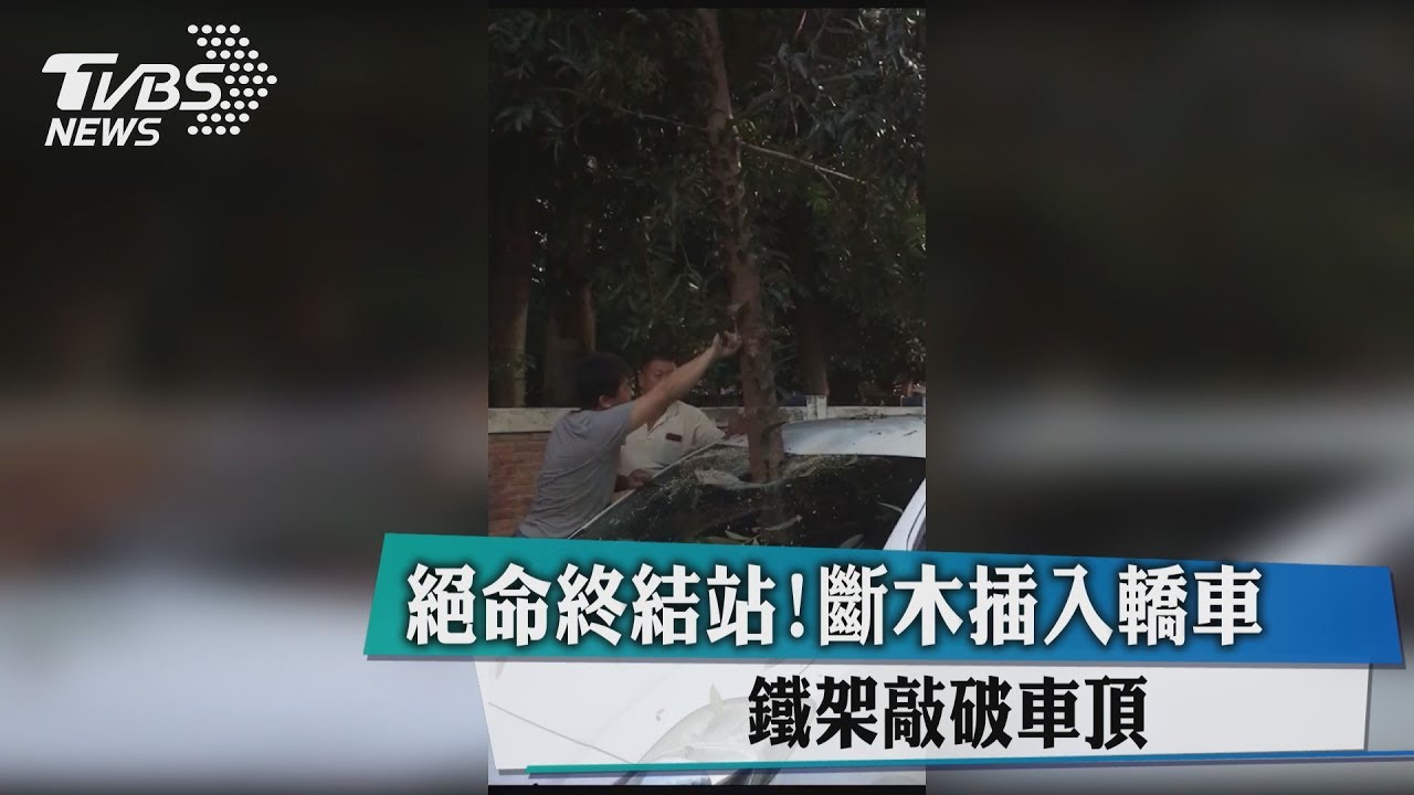 絕命終結站！斷木插入轎車　鐵架敲破車頂