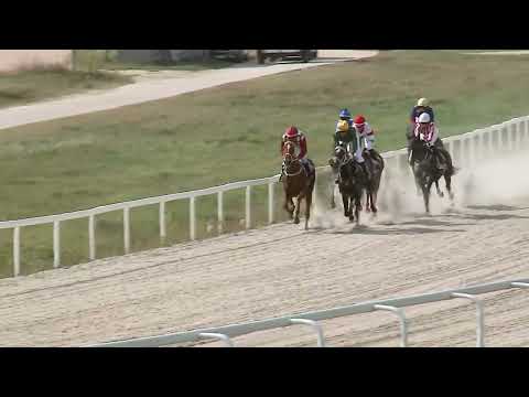 2023.09.17. 3. Futam - MISS VIKANIKO HENDIKEP (IV.o.) (szintetikus pálya)