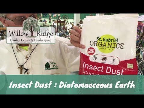 Insect Dust Diatomaceous Earth
