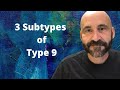 Enneagram: Subtypes of Type 9