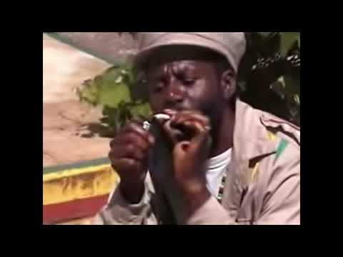 Excuse Me While I Light My Spliff