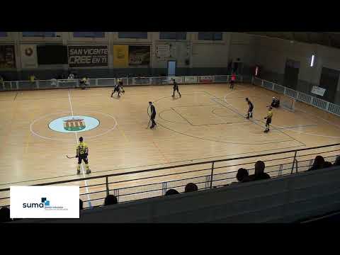 OK LIGA BRONCE - CPP Raspeig vs HC Virgen de Europa