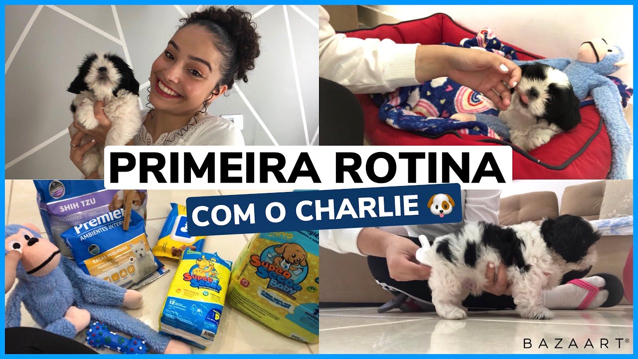 MINHA PRIMEIRA ROTINA COM O CHARLIE + COMPRINHAS *meu dog shitszu* 🐶🐾 | por Rafaela Maria