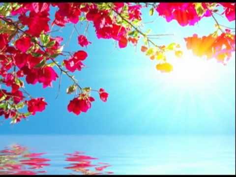 Ocean of Peace - Guided Meditation