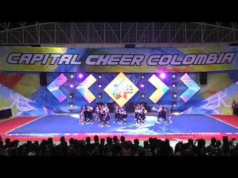 254  NPC Btá N4 Open Large MX