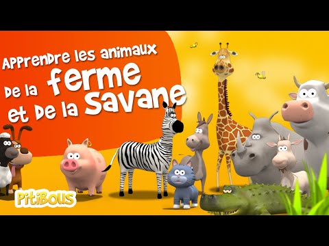 Apprendre les animaux de la ferme et de la savane - Apprendre le français #vocabulaire #enfants