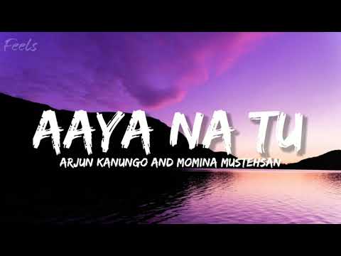 Aaya Na Tu (Lyrics) - Arjun Kanungo and Momina Mustehsan