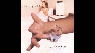 sonic youth - wildflower soul