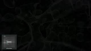 ZHU - Faded (RYHN Remix)