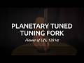 Meinl Sonic Energy TF-FOL Diapason "Fiore Della Vita" thumbnail 2