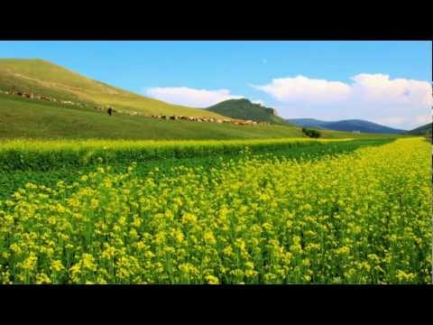 哈琳/锡林宝力日: 吻你(汉语版)