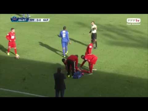 Tarbes PF   Golden Lion F