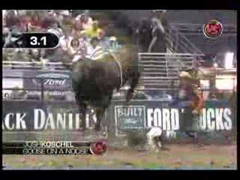 Josh Koschel Vs. Goose on a Noose