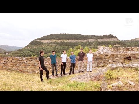 ADVERUM - Te asteptam