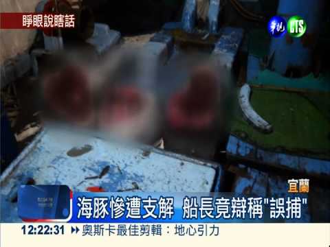 漁船私宰海豚 遭查獲辯稱"誤捕"