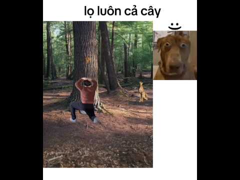 Cái cây có bầu🗿#memes #meme