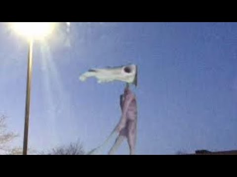 Siren head army vs long horse army