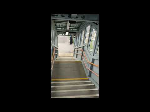 Guildford to Alton on the train